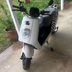 New Zebra Electric Motor Bike 