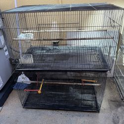 Large Bird Cage