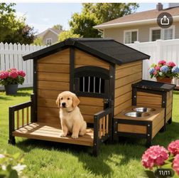 Dog house