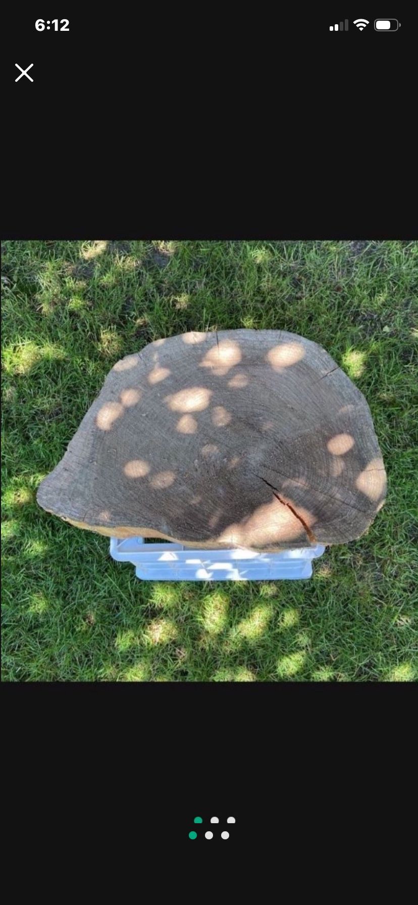 Large Air Dried Cedar Round 22 X 16 X 3.5