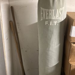 Everlasting Punch Bag