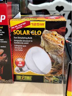 Reptile Supplies