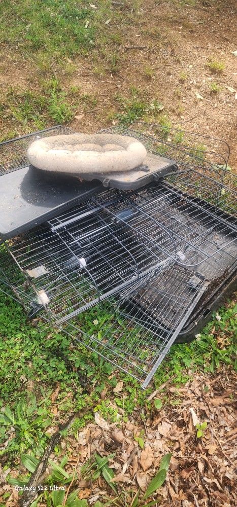 Large Cat Cage
