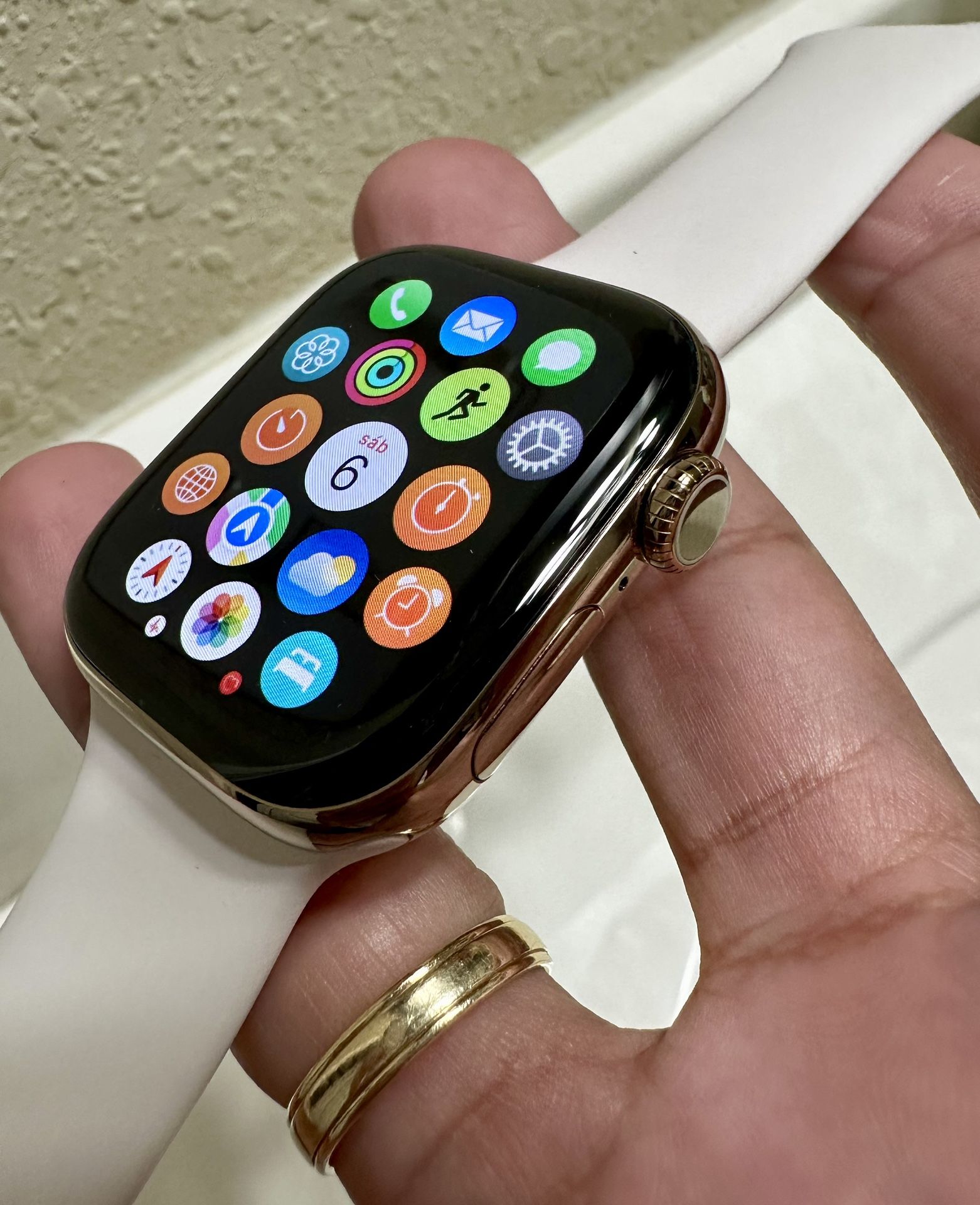 Apple Watch 10 Titanio 42 Mm