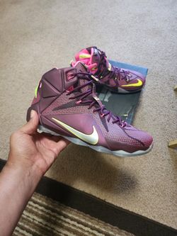 Lebron 12