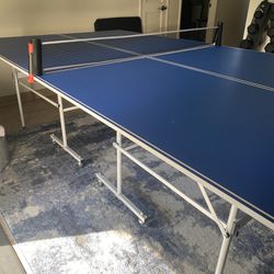 Ping Pong Table Regulation Size