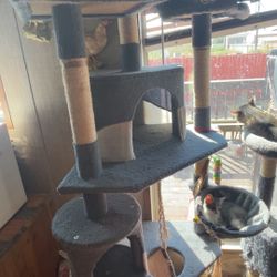Cat Tower