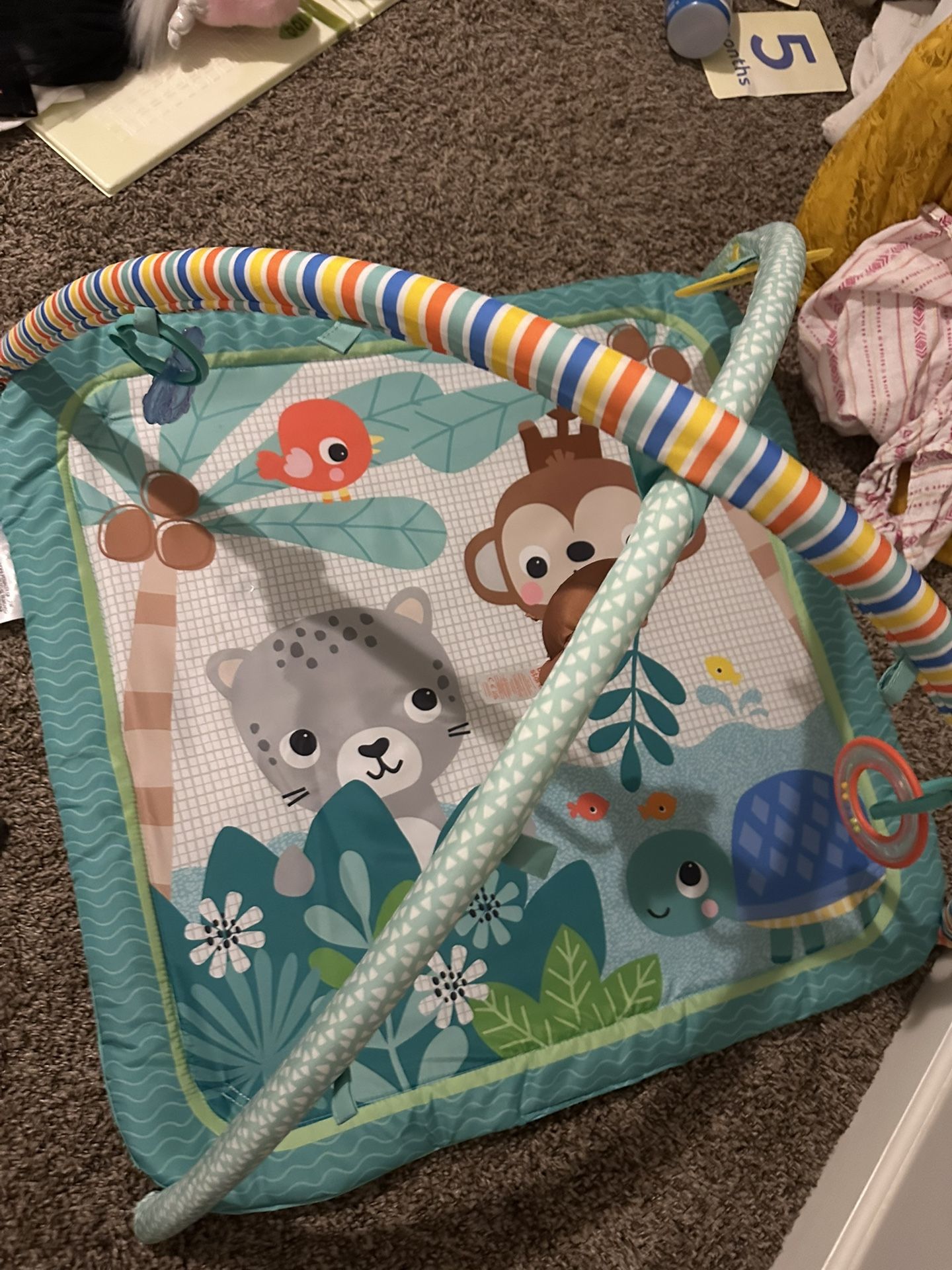 Baby Playmat