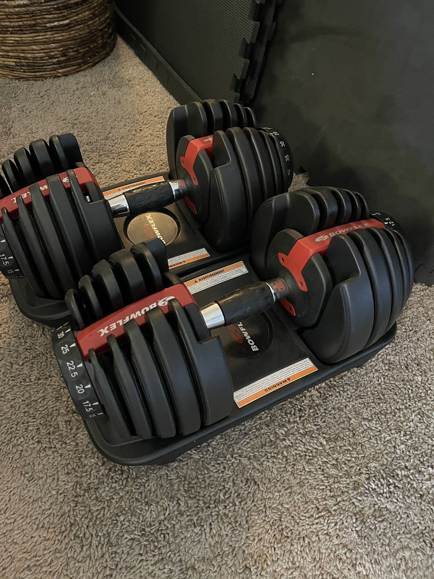 Bowflex Adjustable Dumbbells
