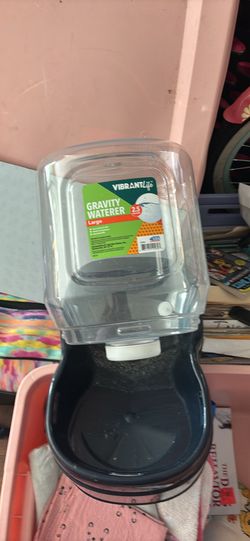 Dog  Clothes & Accessories 