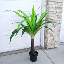 Fake Plant ( Artificial ) 55 In. Tall 