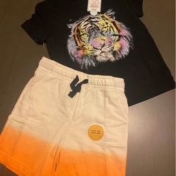 Cat & Jack 2-Piece Set for Boys, Size 2T