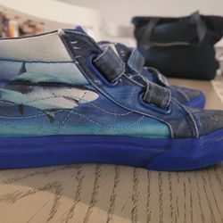 Converse Shark Shoes 