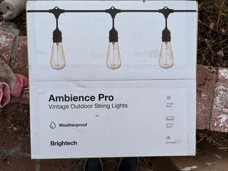 New in Box 48 Feet Outdoor String Lights Edison Bulbs