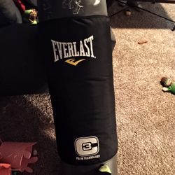 Everlast Punching bag & Gloves