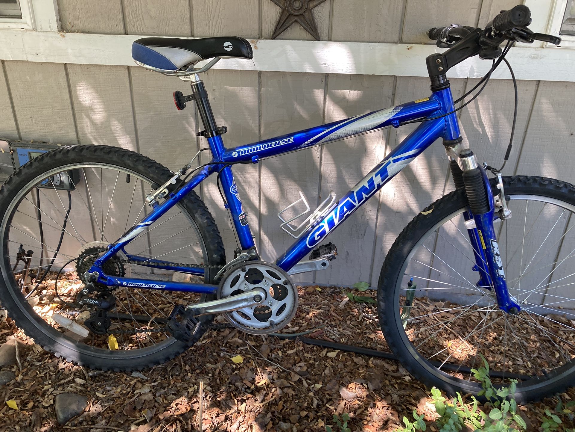 Giant Hardtail