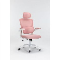 Mesh Office Chair with 3D Adjustable Lumbar Support, 