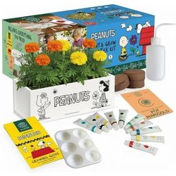 Garden Republic Peanuts Paint and Plant Starter Kit, Marigolds