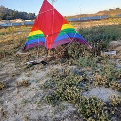 Peter Powell Stunt Kite