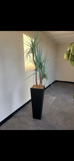 🌴