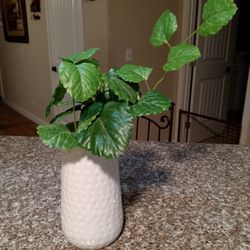 Decorative, Artificial,Plant, Plants 