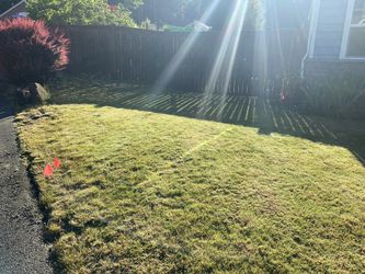 Lawn Mower, Trimmer, And Brush Cutter Available 