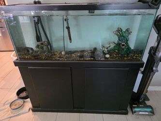 55 Gallon Fish Tank w/stand and Fluval Filter