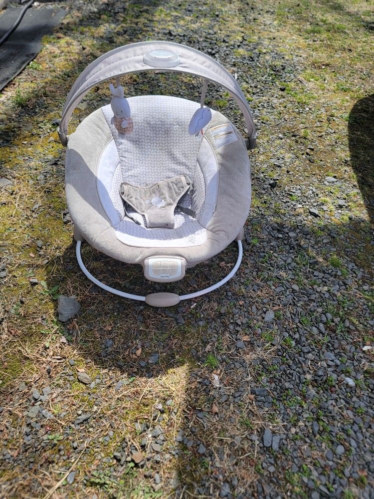 Baby Bouncer