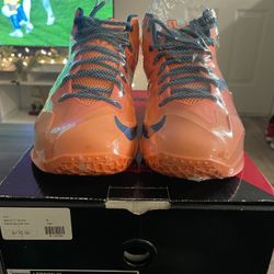 Lebron 11 Knicks