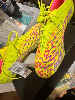 Predators