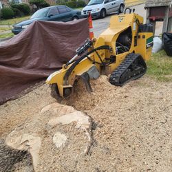 I do stump grinder molemos troncos buenos precios gud prices 