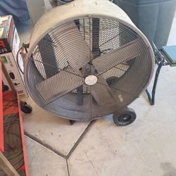 Shop Fan