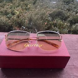 Cartier Wired Sunglasses