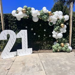 Balloon Garland