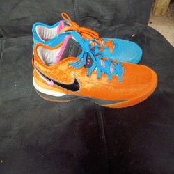 LeBron Orange And Blue Zebra