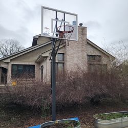 Gorilla basketball hoop