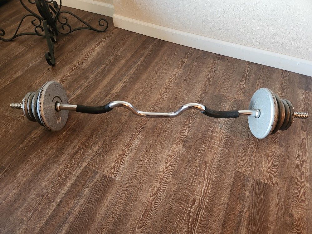 Weights With Curl Bar