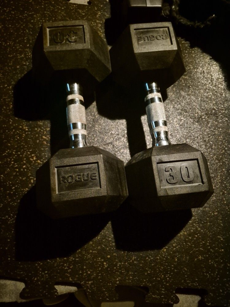 Rogue 30lbs Dumbells Weights