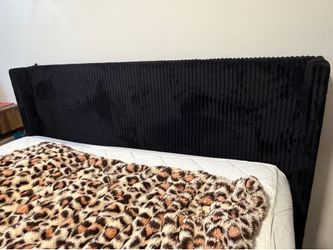 Black Upholstered Corduroy Platform Bed Frame with Tall Headboard – Queen