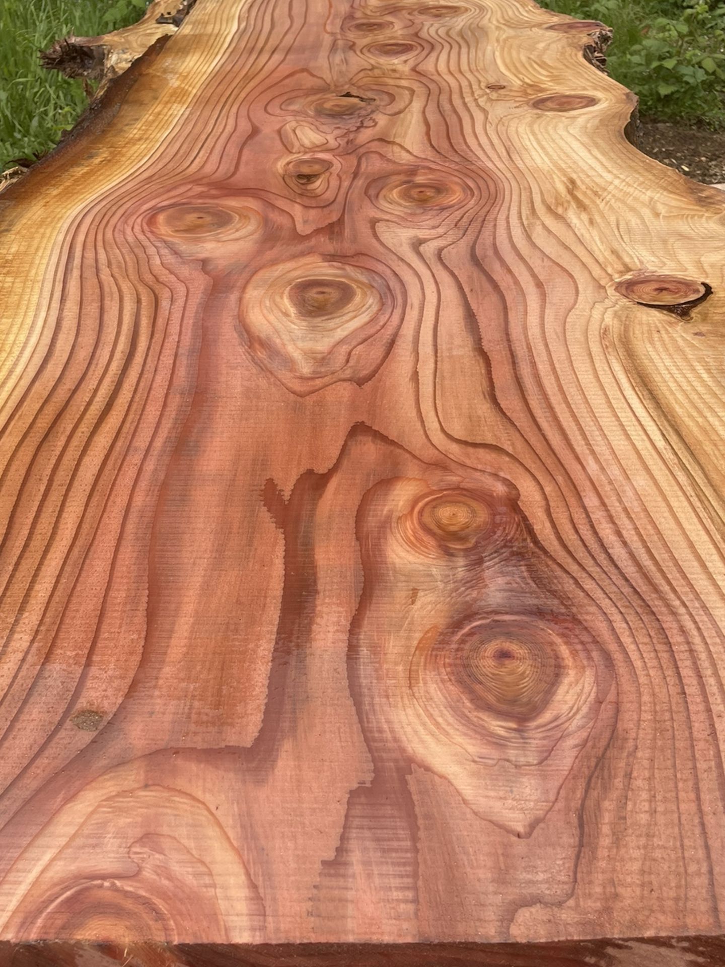 Beautiful Redwood slabs Free Delivery Today