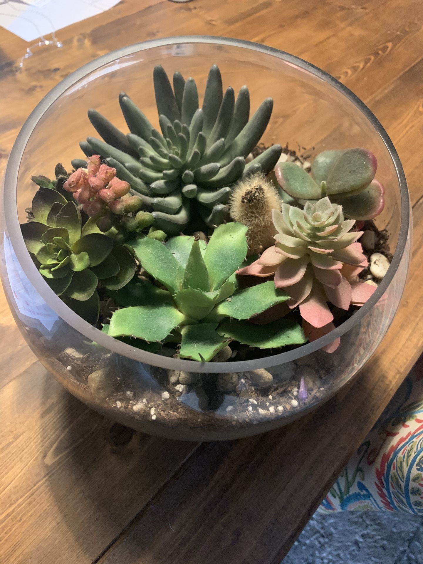 Terrarium (Fake Succulents)