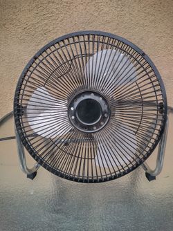 Fan