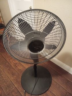 Fan