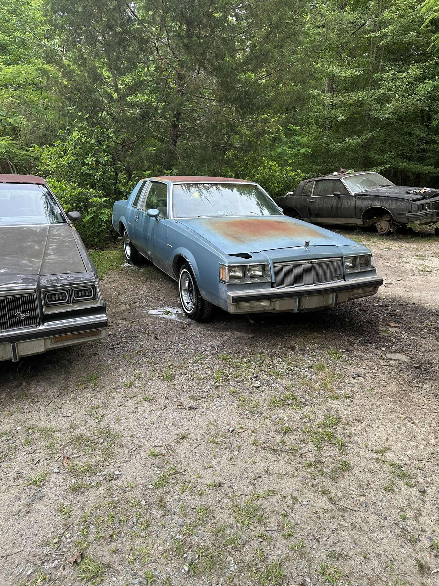 86 Regal