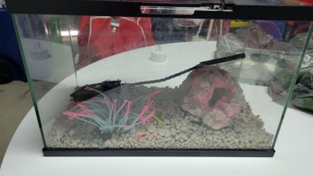 Small Fish Tank Aquarium with Decor