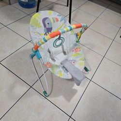 Baby Bouncer 