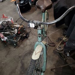 Beach cruiser murty