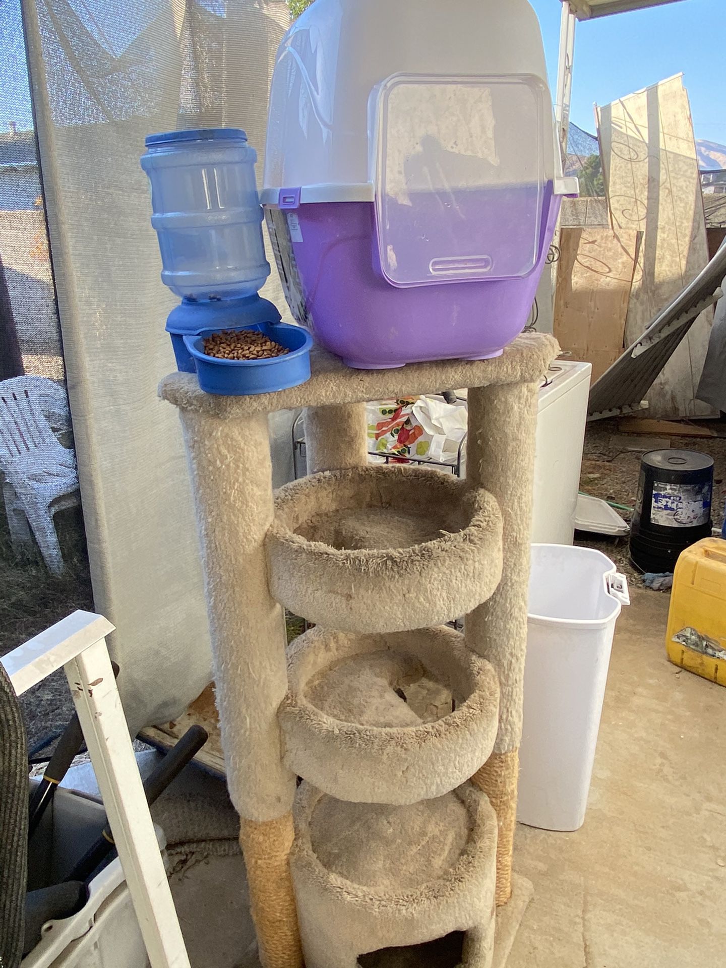 Cat stand, food dispenser and litter box