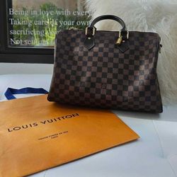 Louis Vuitton LV Purse Bag
