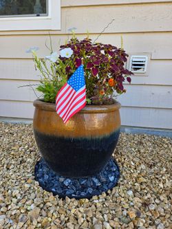Large ceramic pots Watsons